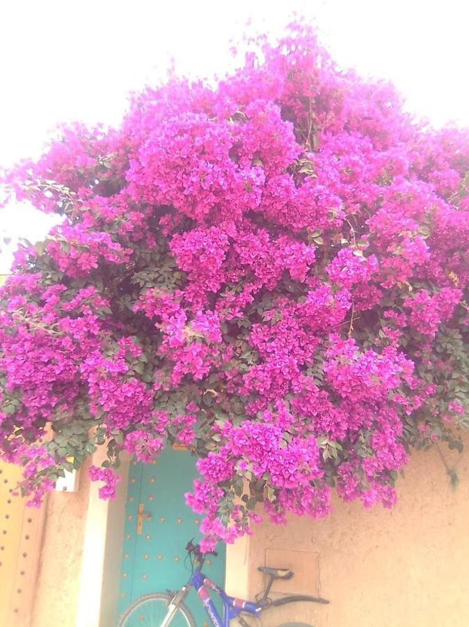 Riad Zidania Taroudant Buitenkant foto